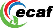 ecaf.digiliadigital.com